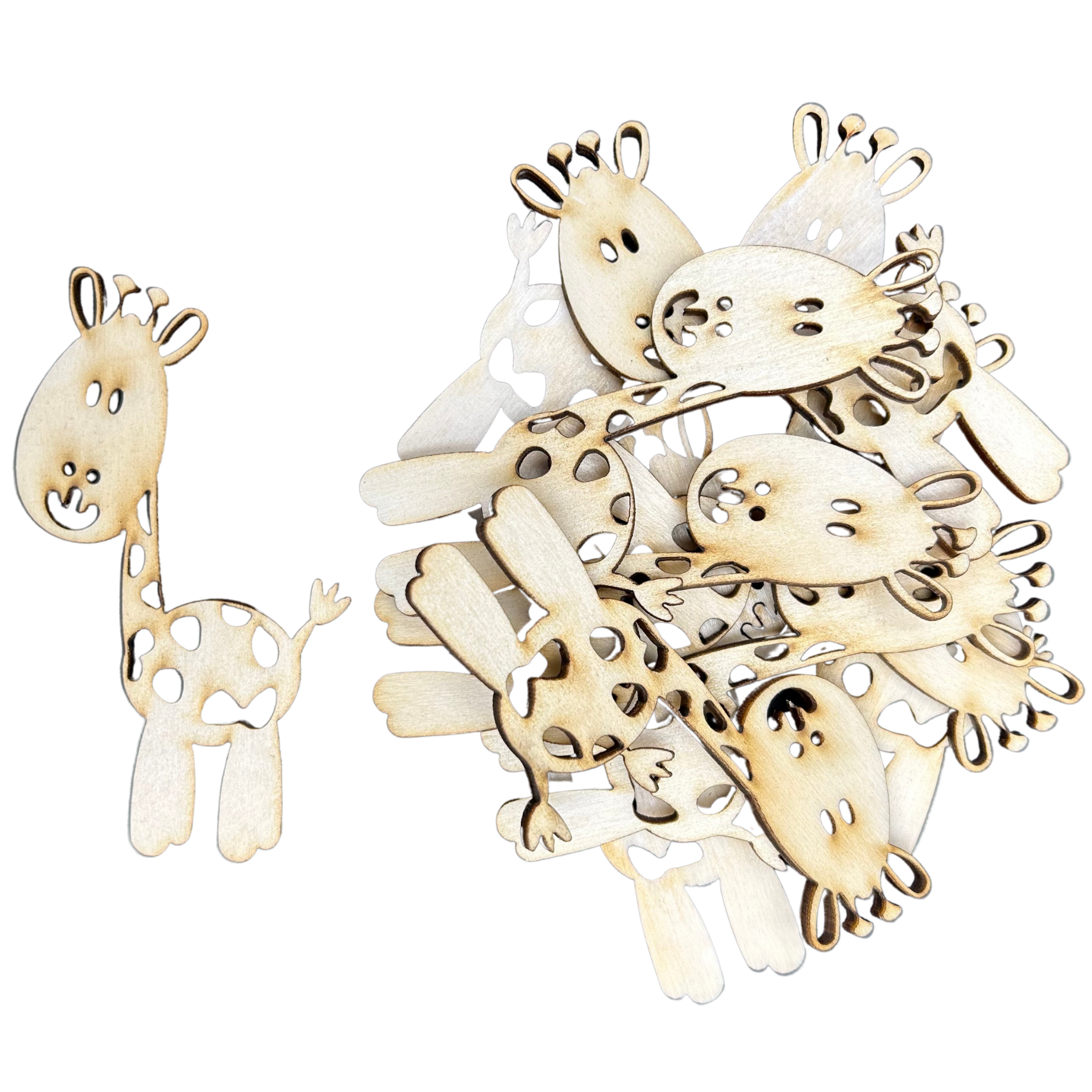 Previous Product Image